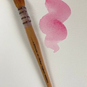 Mop Brush